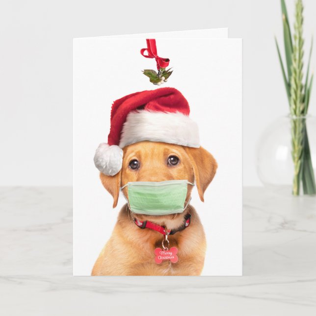 Cartes Pour Fêtes Annuelles Labrador joyeux Noël chiot au masque et au s (Devant)