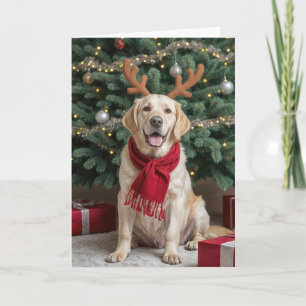 Cartes Pour Fêtes Annuelles Labrador Retriever Avec Des Antlers De Rennes