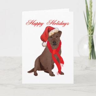 Cartes Pour Fêtes Annuelles Labrador Retriever Chocolat de Noël