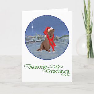 Cartes Pour Fêtes Annuelles Labrador Retriever Chocolat de Noël
