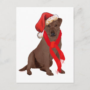 Cartes Pour Fêtes Annuelles Labrador Retriever Chocolat de Noël