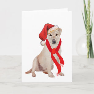 Cartes Pour Fêtes Annuelles Labrador Retriever jaune de Noël