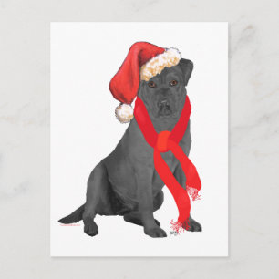 Cartes Pour Fêtes Annuelles Labrador Retriever noir de Noël