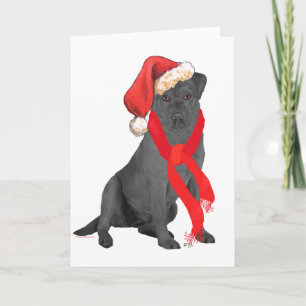 Cartes Pour Fêtes Annuelles Labrador Retriever noir de Noël