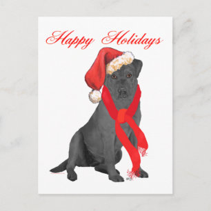 Cartes Pour Fêtes Annuelles Labrador Retriever noir de Noël