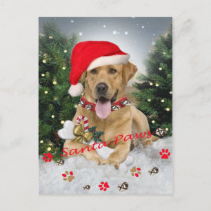 Cartes Pour Fêtes Annuelles Labrador Retriever Père Noël Cadeaux