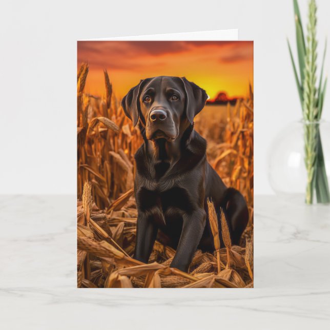 Cartes Pour Fêtes Annuelles Labrador Retriever Thanksgiving (Devant)