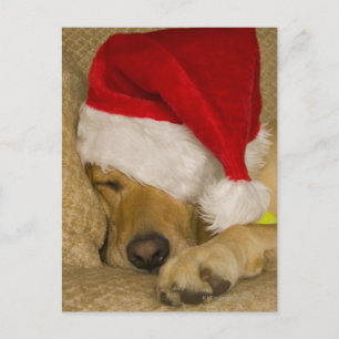 Cartes Pour Fêtes Annuelles Labrador utilisant un casquette de Père Noël de