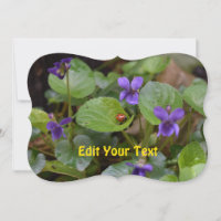 Ladybug sur les fleurs de violet doux