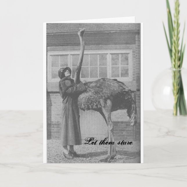 Cartes Pour Fêtes Annuelles Laisse-les regarder (Devant)