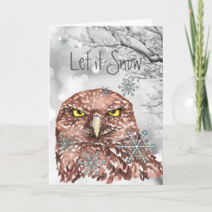 Cartes Pour Fêtes Annuelles Laisser neiger hiver Snowflakes Amusant Noël Owl