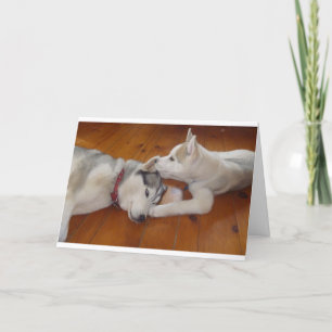 Cartes Pour Fêtes Annuelles Laissez-moi chuchoter à votre oreille... "Je vous