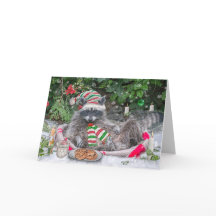 Lait et biscuits au raton laveur