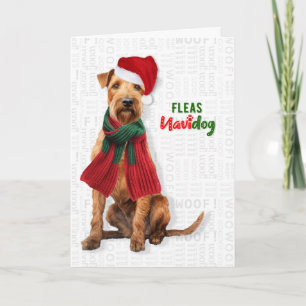 Cartes Pour Fêtes Annuelles Lakeland Terrier Chien Drôle Puces Navidog Noël