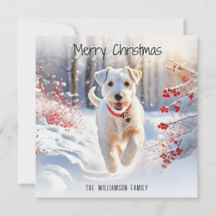 Cartes Pour Fêtes Annuelles Lakeland Terrier Chien Hiver Neige Joyeux Noël