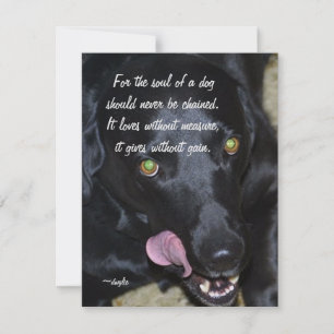 Cartes Pour Fêtes Annuelles L'âme d'un chien - Labrador noir