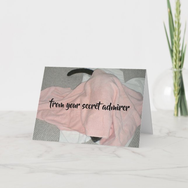 Cartes Pour Fêtes Annuelles L'amiral secret Valentine du chat (Devant)