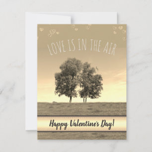 Cartes Pour Fêtes Annuelles L'amour est dans l'air (personnalisable)