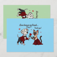 L'amour ne connaît pas de race Dalmatien et chat s