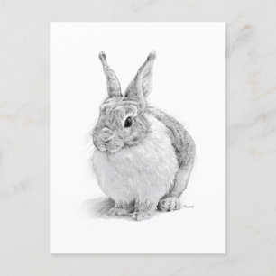 Cartes Pour Fêtes Annuelles Lapin
