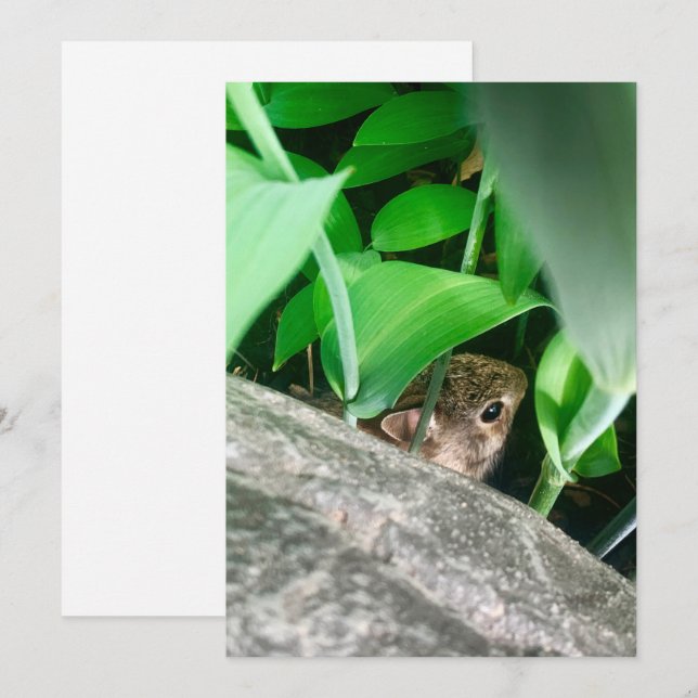 Cartes Pour Fêtes Annuelles Lapin bébé (Devant / Derrière)