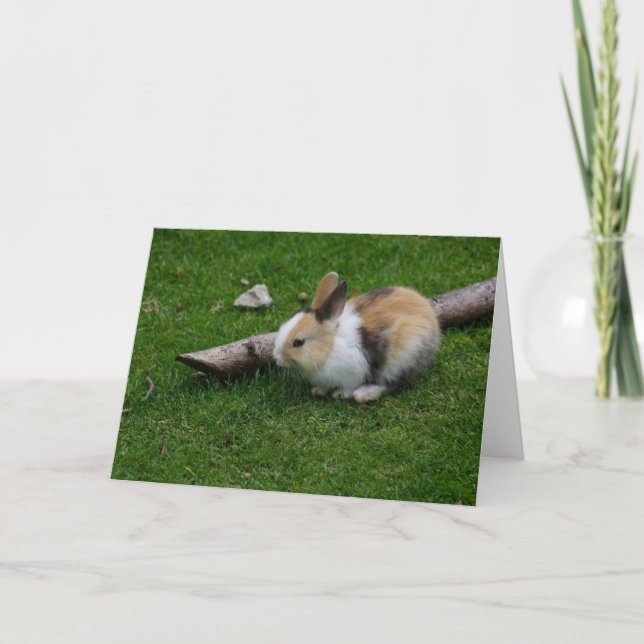 Cartes Pour Fêtes Annuelles Lapin bébé doux (Devant)