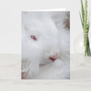 Cartes Pour Fêtes Annuelles Lapin blanc de Pâques