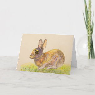 Cartes Pour Fêtes Annuelles Lapin coloré