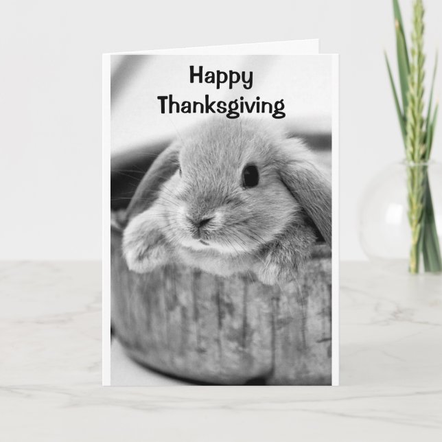 CARTES POUR FÊTES ANNUELLES LAPIN COMIQUE DIT **JOYEUX THANKSGIVING** (Devant)