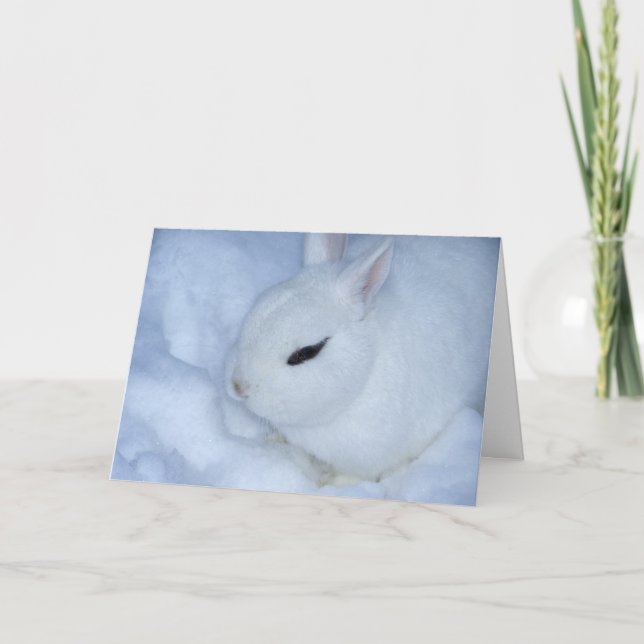 Cartes Pour Fêtes Annuelles Lapin de neige (Devant)