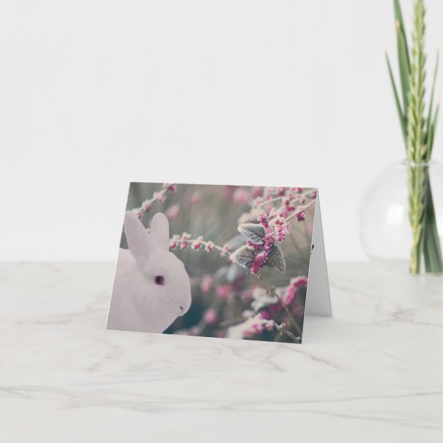 Cartes Pour Fêtes Annuelles Lapin de neige aux baies congelées (Devant)