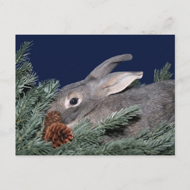 Cartes Pour Fêtes Annuelles lapin de Noël (Devant)
