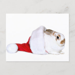 Cartes Pour Fêtes Annuelles Lapin de Noël