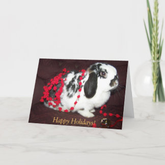 Cartes Pour Fêtes Annuelles Lapin de Noël, bonnes fêtes !