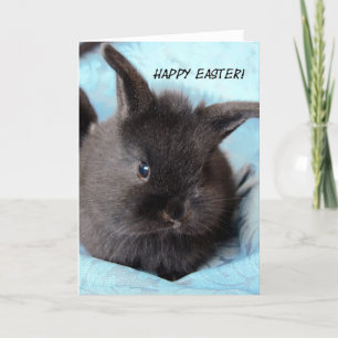 Cartes Pour Fêtes Annuelles Lapin de Pâques