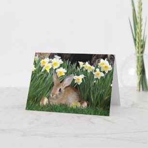Cartes Pour Fêtes Annuelles Lapin de Pâques
