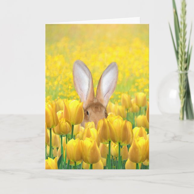 Cartes Pour Fêtes Annuelles Lapin de Pâques (Devant)
