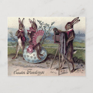 Cartes Pour Fêtes Annuelles Lapin de Pâques Couple Appareil Photo Oeuf