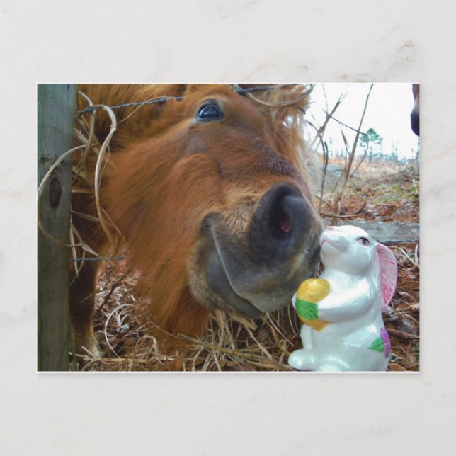Cartes Pour Fêtes Annuelles Lapin de Pâques et cheval Brown (Devant)