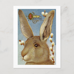 Cartes Pour Fêtes Annuelles Lapin et branches de saule