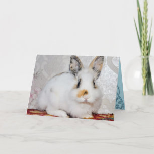 Cartes Pour Fêtes Annuelles Lapin Lapin