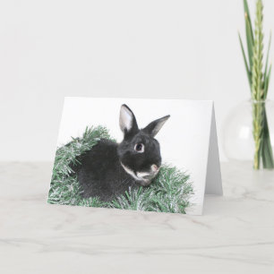 Cartes Pour Fêtes Annuelles Lapin lapin lapin Noël