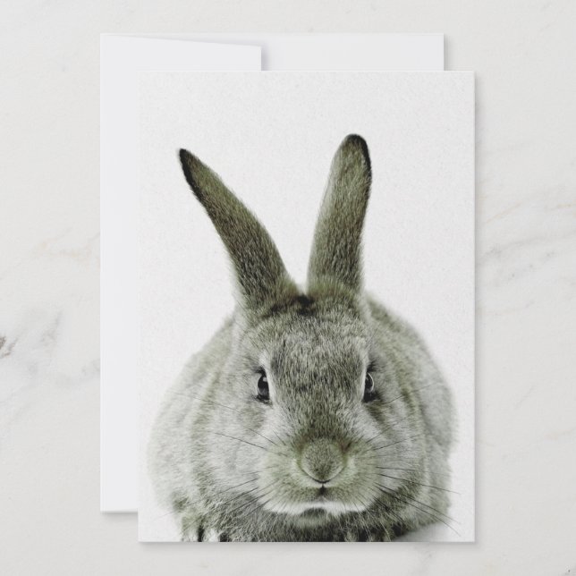 Cartes Pour Fêtes Annuelles lapin noir et blanc |cadeau pour amoureux de lapin (Devant)