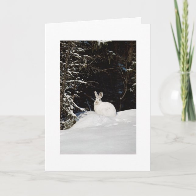 Cartes Pour Fêtes Annuelles Lapin Sauvage Dans La Neige Noël De Noël (Devant)