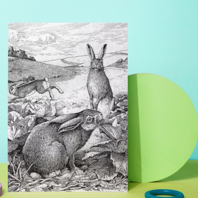 Cartes Pour Fêtes Annuelles Lapins (Créateur téléchargé)