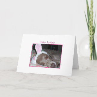 Cartes Pour Fêtes Annuelles Lapins de Pâques ? Fumisterie de Bah !