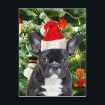 Cartes Pour Fêtes Annuelles L'arbre de Noël de bouledogue français ornemente<br><div class="desc">Le bouledogue français mignon avec l'arbre de Noël ornemente l'homme de neige à l'arrière-plan.</div>