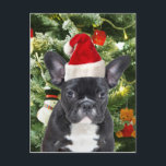 Cartes Pour Fêtes Annuelles L'arbre de Noël de bouledogue français ornemente<br><div class="desc">Le bouledogue français mignon avec l'arbre de Noël ornemente l'homme de neige à l'arrière-plan.</div>