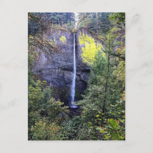 Cartes Pour Fêtes Annuelles Latourell Falls, Oregon