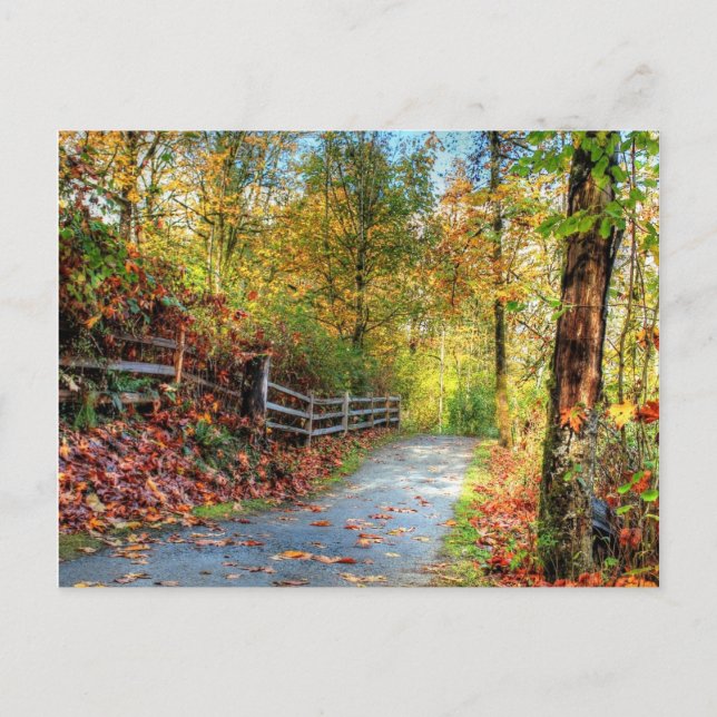 Cartes Pour Fêtes Annuelles L'automne (Devant)